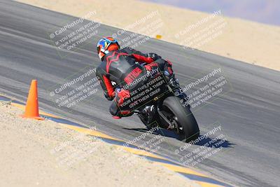 media/Nov-12-2023-SoCal Trackdays (Sun) [[5d1fba4e7d]]/Turn 10 Backside (115pm)/